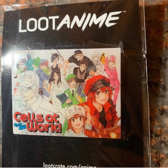 Amazing collection of pins and rare coin - Picture 7 of 11